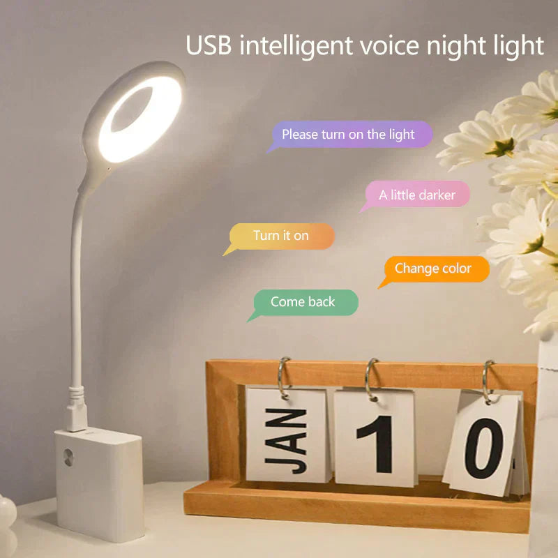 Smart Voice Control Light